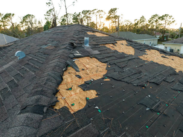 Best Asphalt Shingle Roofing  in Smithville Sanders, IN